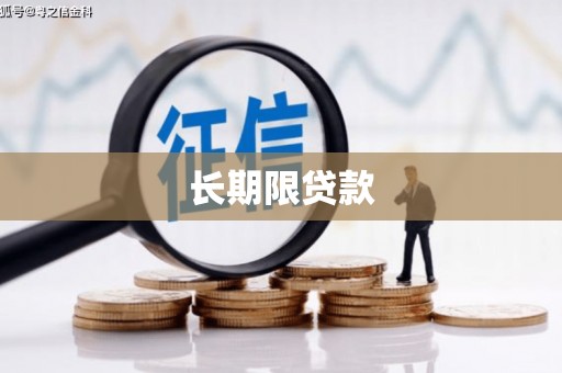 新港长期限贷款