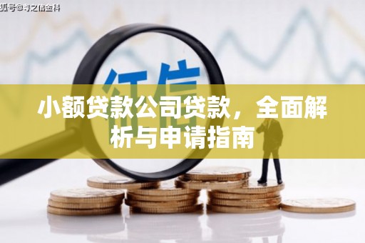 新港小额贷款公司贷款，全面解析与申请指南