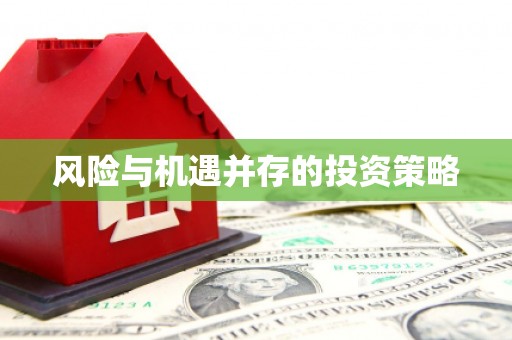 新港风险与机遇并存的投资策略