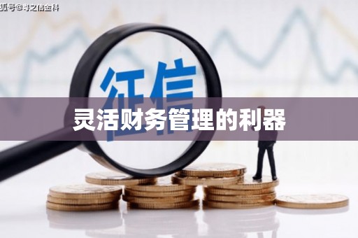 新港灵活财务管理的利器