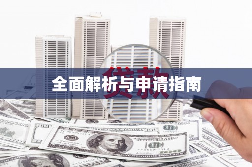 新港全面解析与申请指南