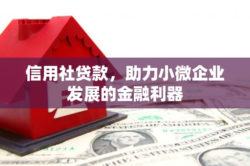 新港信用社贷款，助力小微企业发展的金融利器
