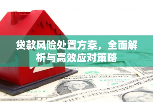 新港贷款风险处置方案，全面解析与高效应对策略