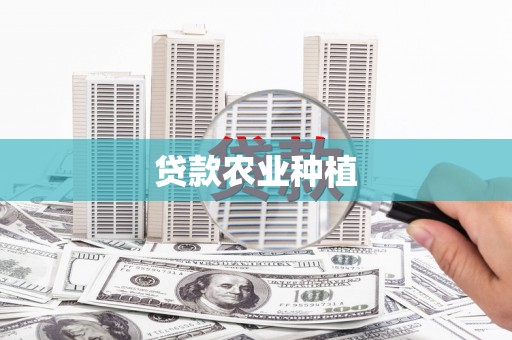 新港贷款农业种植