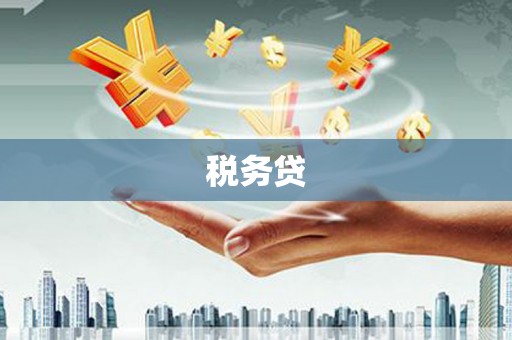 新港税务贷