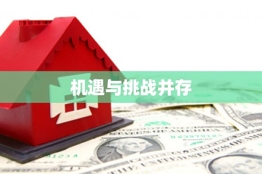 新港机遇与挑战并存