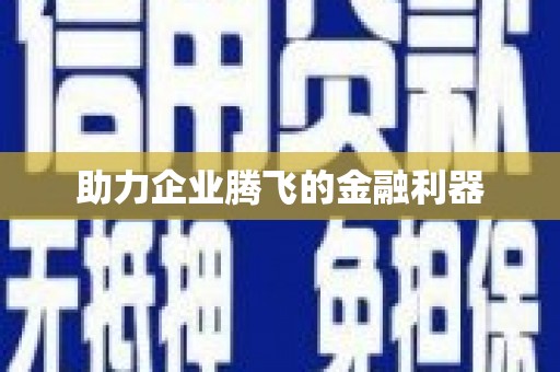 新港助力企业腾飞的金融利器