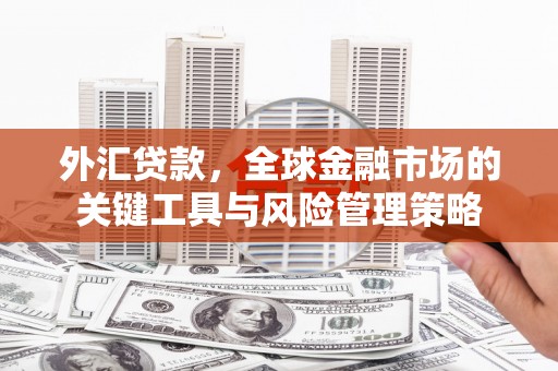 新港外汇贷款，全球金融市场的关键工具与风险管理策略