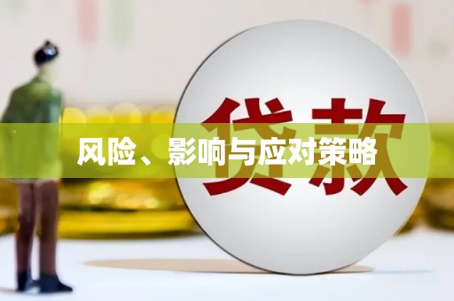 新港风险、影响与应对策略