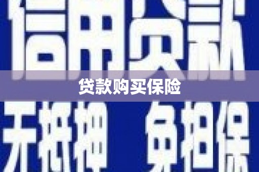 新港贷款购买保险