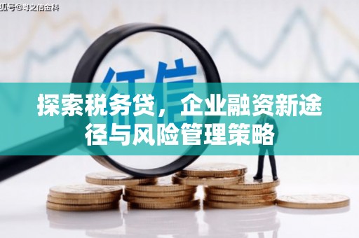 新港探索税务贷，企业融资新途径与风险管理策略