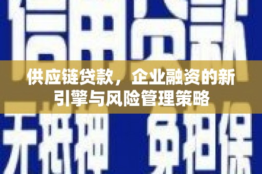 新港供应链贷款，企业融资的新引擎与风险管理策略