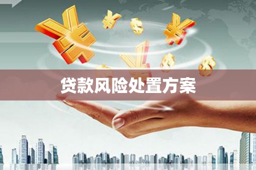 新港贷款风险处置方案