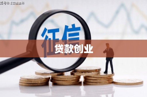 新港贷款创业