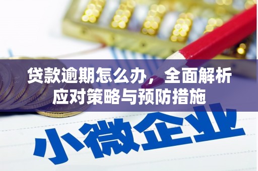 新港贷款逾期怎么办，全面解析应对策略与预防措施