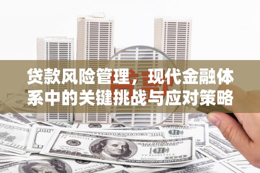 新港贷款风险管理，现代金融体系中的关键挑战与应对策略