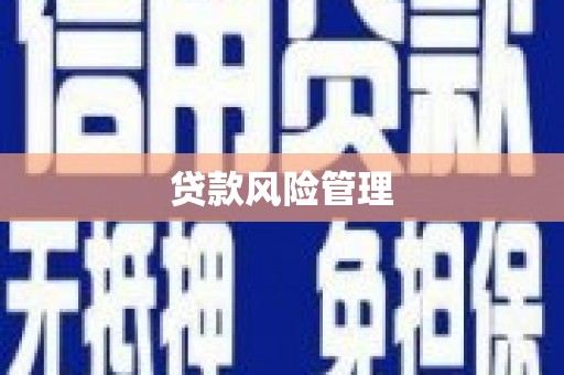 新港贷款风险管理
