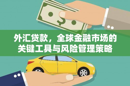 新港外汇贷款，全球金融市场的关键工具与风险管理策略