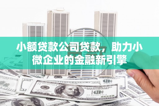 新港小额贷款公司贷款，助力小微企业的金融新引擎