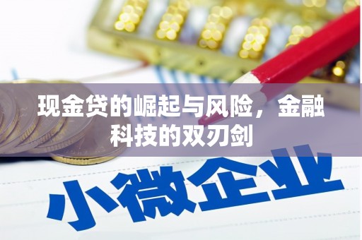 新港现金贷的崛起与风险，金融科技的双刃剑