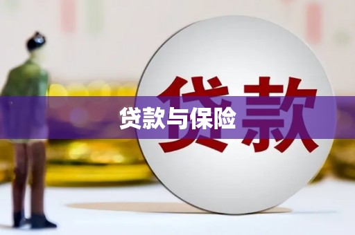 新港贷款与保险