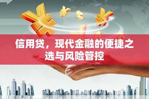 新港信用贷，现代金融的便捷之选与风险管控