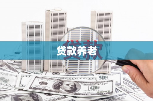 新港贷款养老