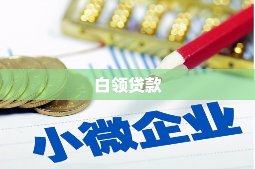 新港白领贷款