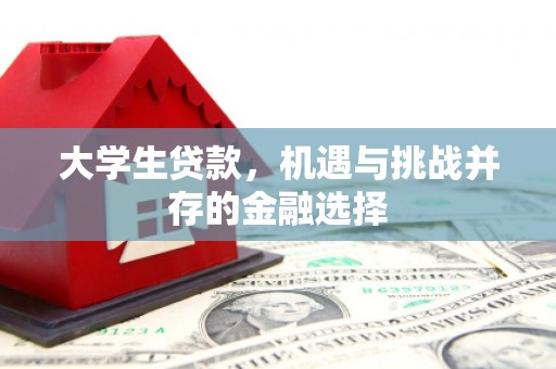 新港大学生贷款，机遇与挑战并存的金融选择