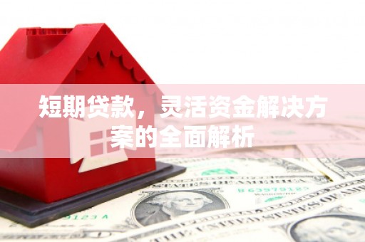 新港短期贷款，灵活资金解决方案的全面解析