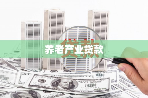 新港养老产业贷款
