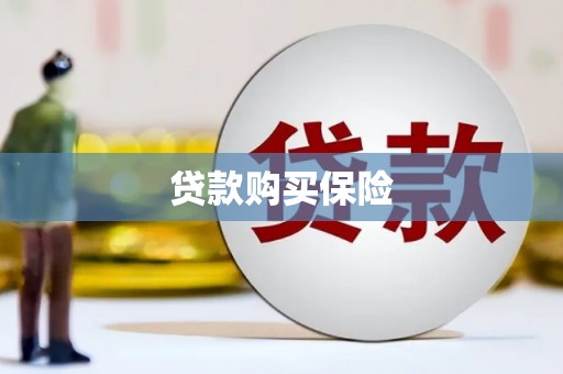 新港贷款购买保险