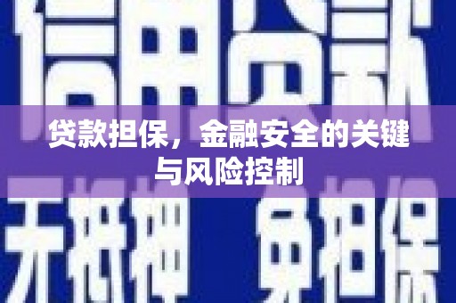 新港贷款担保，金融安全的关键与风险控制