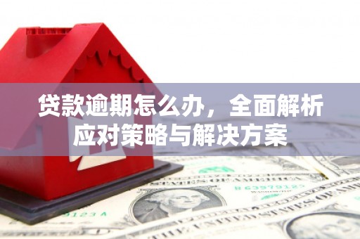 新港贷款逾期怎么办，全面解析应对策略与解决方案