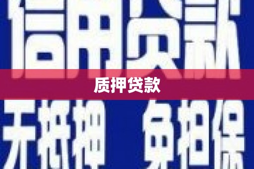 新港质押贷款