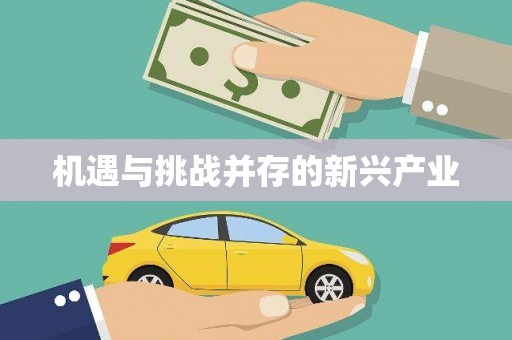 新港机遇与挑战并存的新兴产业