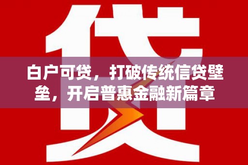 新港白户可贷，打破传统信贷壁垒，开启普惠金融新篇章