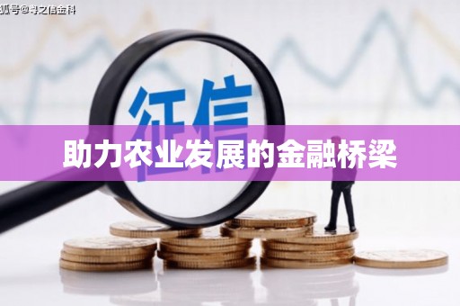 新港助力农业发展的金融桥梁