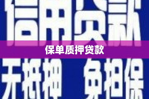 新港保单质押贷款