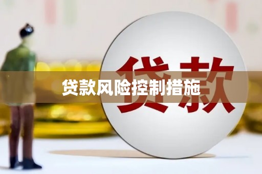 新港贷款风险控制措施