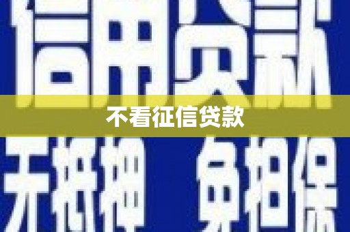 新港不看征信贷款