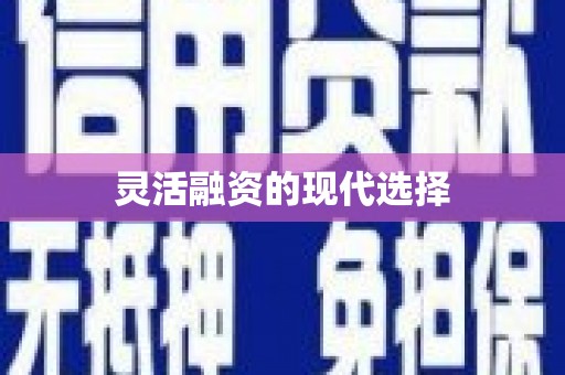 新港灵活融资的现代选择