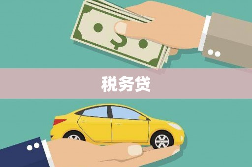新港税务贷