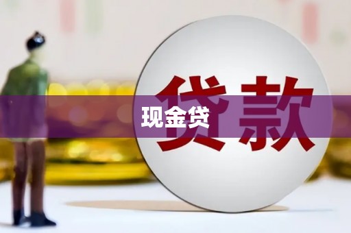 新港现金贷